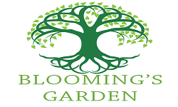 cropped-BG_Logo